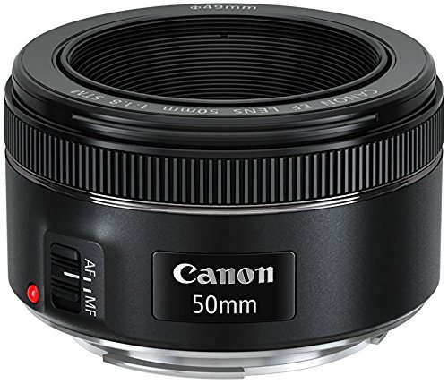 Canon EF 50mm f/1.8 STM - Objetivo para Canon (distantacia focal 50 mm, apertura f/1.8), color negro