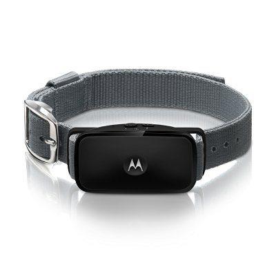 Collar antiladridos Motorola BARK200U por ultrasonidos para perros