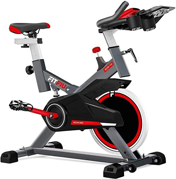 FITFIU Fitness BESP-100 Bicicleta indoor con disco de inercia