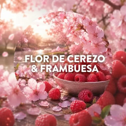 Air Wick Active Fresh flor de cerezo y frambuesa, kit con 4 recambios