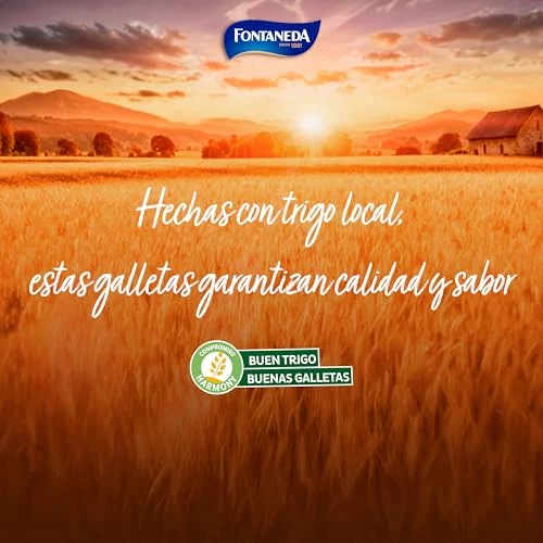 Fontaneda Digestive con avena pack 10 x 550 g