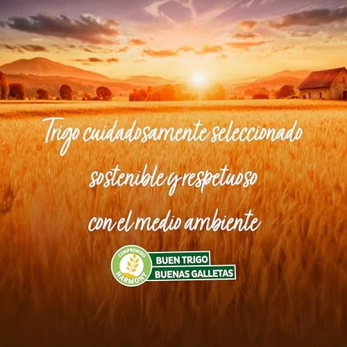 Fontaneda Digestive con avena pack 10 x 550 g