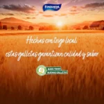 Fontaneda Digestive con avena pack 10 x 550 g