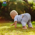 Hero Baby Tarritos de 3 frutas Pack 12 x 190 g para bebés 12X190G