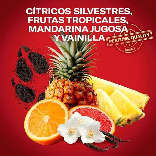 Precio rebajado para Pack 2 Gel de ducha Old Spice Wolfthorn 1 L: