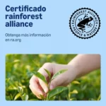 by Amazon Té e infusiones variadas, 90 sobres