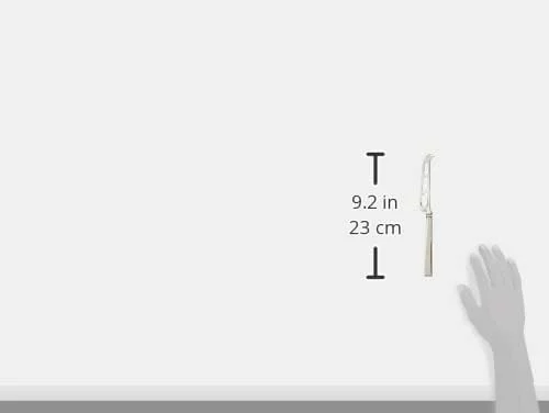 Zwilling Dinner cuchillo para queso de acero inoxidable