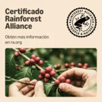 Cápsulas de café Lungo by Amazon compatibles con Nespresso, 20 unidades