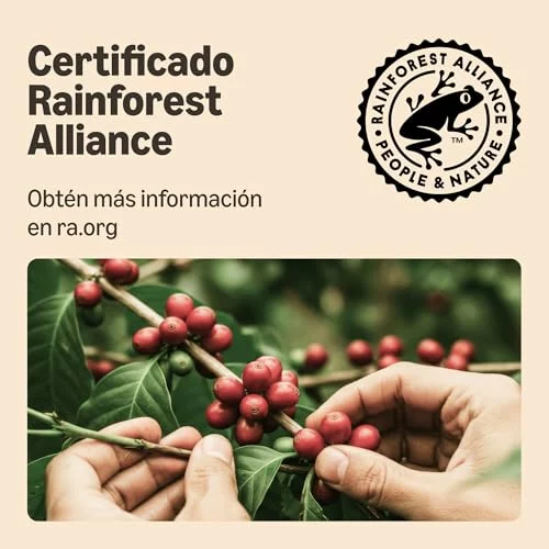 Cápsulas de café Lungo by Amazon compatibles con Nespresso, 20 unidades