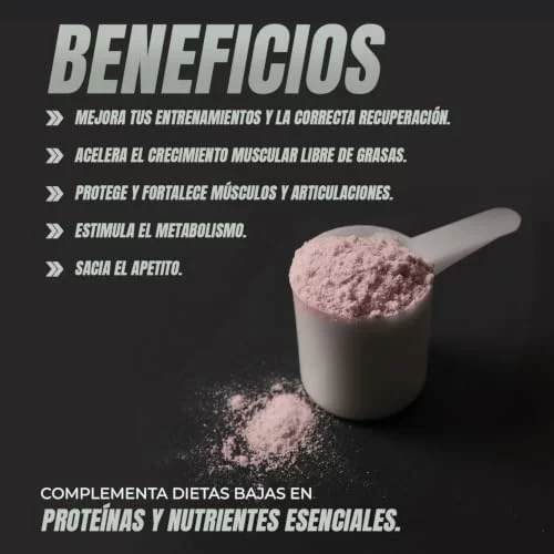 Proteína Whey Healthy Fusion