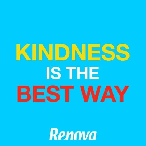 Renova papel de cocina decorado, 24 rollos (12 packs de 2)