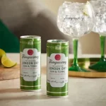 Tanqueray London Dry Gin y Tonic 250 ml x 12
