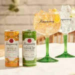 Tanqueray London Dry Gin y Tonic 250 ml x 12