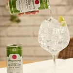 Tanqueray London Dry Gin y Tonic 250 ml x 12
