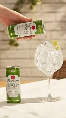 Tanqueray London Dry Gin y Tonic 250 ml x 12
