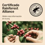 Cápsulas de café Espresso by Amazon compatibles con Nespresso, 20 unidades