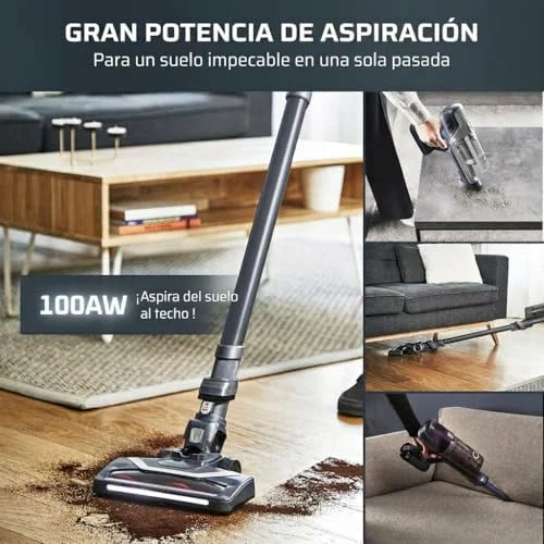 Rowenta X-Pert 6.60 aspiradora escoba sin cable gris oscuro