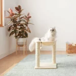 Árbol para gatos Amazon Basics con hamaca y cama