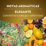 Cápsulas de café Lavazza Qualità Oro compatibles con Nespresso, 10 unidades
