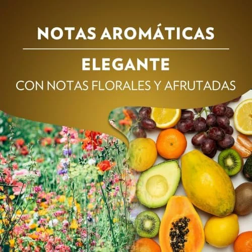 Cápsulas de café Lavazza Qualità Oro compatibles con Nespresso, 10 unidades