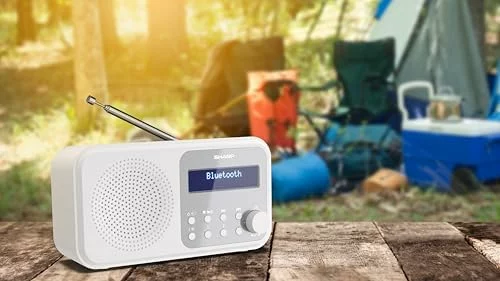 Sharp DR-P420 radio digital DAB+ Bluetooth