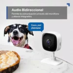 Tapo C100-Cámara vigilancia WiFi Interior/Exterior, 1080p 2MP, Alexa&Google